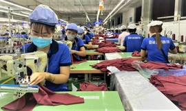 Hoạt động của nhiều doanh nghiệp: Ấm dần theo đơn hàng 