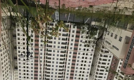 TPHCM đấu giá khu tái định cư nghìn tỷ bỏ hoang