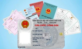 Hướng dẫn tích hợp Giấy phép lái xe, Bảo hiểm y tế vào ví giấy tờ VNeID ngay trên điện thoại