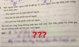 Bài toán "17 con ngựa chia đều cho 3 anh em", lời giải của bạn nhỏ khiến netizen thán phục