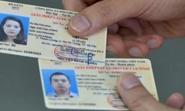 Hướng dẫn thực hiện đổi giấy phép lái xe trực tuyến, không cần xếp hàng