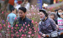 Dự báo thời tiết 3 ngày Tết Nguyên đán trên cả nước, khi nào miền Bắc có nắng ấm?