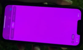 Hàng loạt iPhone 13 series bất ngờ gặp lỗi màn hình chuyển hồng, Apple phản hồi ra sao?