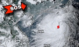 Bão số 3 Yagi dự báo sẽ tiến vào miền Bắc, là cơn bão mạnh nhất trong 8 năm qua