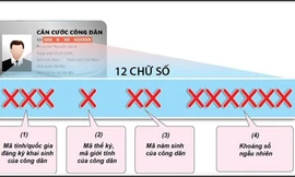 Có thể dùng mã số định danh cá nhân khi chưa được cấp thẻ Căn cước công dân hay không?