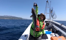 YouTuber Quỳnh Trần JP gây tranh cãi gay gắt khi đăng video đi câu cá mập con để ăn