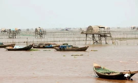 Sở GD&ĐT Hà Nội ra chỉ đạo khẩn về việc tổ chức hoạt động trải nghiệm cho học sinh