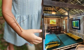 Trại hè Làng Háo Hức bị tố vệ sinh kém, có trẻ bị bắt nạt, phụ huynh và đơn vị tổ chức nói gì?