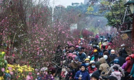 Dự báo thời tiết Tết Nguyên đán 2023: Nhiệt độ miền Bắc cao hơn trung bình nhiều năm