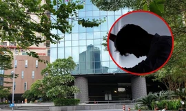 Vụ nam sinh lớp 10 ở Hà Nội nhảy lầu: Công an truy tìm người tung clip và thư tuyệt mệnh