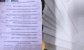 Tình trạng chung sau thời gian học online: Điểm kiểm tra cực thấp, ai khóc "nỗi đau" này?