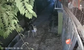 Hai nữ sinh lớp 8 tại Hòa Bình nhảy cầu, tiết lộ lý do trong bức thư tuyệt mệnh