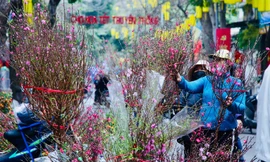 Miền Bắc sẽ đón không khí lạnh mạnh ngay trước thềm Tết Nguyên đán Ất Tỵ