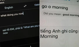 "Dở khóc dở cười" khi Google dịch trở nên... cục súc, hóa ra là do người dùng thích đùa!