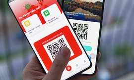 Ứng dụng VNeID có thể dùng thay thế cho Giấy phép lái xe, thẻ Bảo hiểm y tế được không?