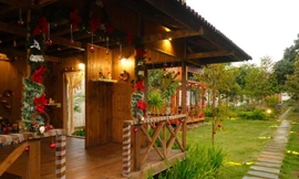 Đón Giáng sinh trong nhà vườn ở Buôn Ma Thuột đẹp như cổ tích, tha hồ vi vu đến mỏi chân