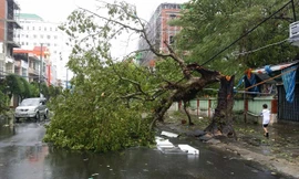 Bão số 1 bán kính gió mạnh rất rộng có thể đổ bộ vào Bắc Bộ, khi nào sẽ xảy ra mưa giông?