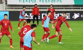 Truyền thông quốc tế dự đoán tỷ số trận giao hữu giữa ĐT Việt Nam vs ĐT Hàn Quốc