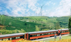 Địa điểm check-in mới toanh tại Đà Lạt: Khung cảnh đoàn tàu giữa cánh đồng hoa đẹp tựa trời Âu