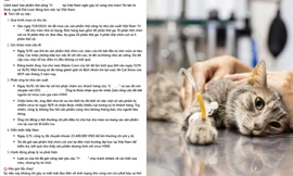 Vụ thức ăn cho mèo bị tố nhiễm virus H5N1: Hội "sen" đồng loạt bóc phốt