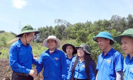 T.Ư Đoàn đánh giá cao công tác hỗ trợ thi công đường dây 500kV mạch 3 của tuổi trẻ Nghệ An
