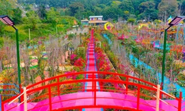 Cận cảnh điểm "check-in" mới ở Đà Lạt đang gây tranh cãi, nhiều người phản ứng gay gắt