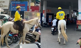 Tài xế công nghệ cưỡi ngựa trắng đi khắp trung tâm TP.HCM bị xử phạt như thế nào?