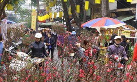 Thông tin mới nhất về đợt không khí lạnh tại miền Bắc, dự báo đúng dịp Tết Nguyên đán