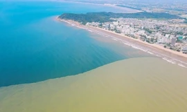 Du khách thích thú với hiện tượng nước biển Sầm Sơn chia thành 2 màu đối lập