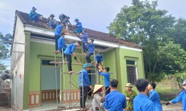 Phát huy sức trẻ Nghệ An trên công trình trọng điểm quốc gia đường dây 500kV mạch 3