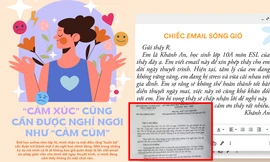 Đề thi chọn Học sinh Giỏi môn Văn tỉnh TT-Huế: "Cảm xúc cũng cần được nghỉ ngơi như cảm cúm"