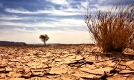 Sa mạc hóa đe dọa gần một tỷ người trên Trái Đất