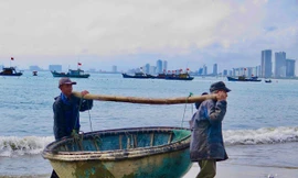 'Bỏ túi' bộn tiền với nghề 5h xuống biển, 10h lên bờ