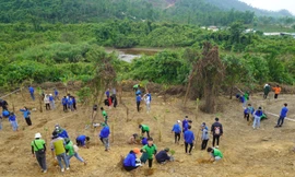 Sinh viên Đà Nẵng trồng cây xanh tại khuôn viên Trung tâm nghiên cứu và triển khai công nghệ bức xạ cơ sở Đà Nẵng - ảnh Đức Thảo 