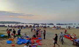 Cận cảnh chợ cá chỉ bán lúc tinh mơ nơi bãi biển đẹp nhất hành tinh 