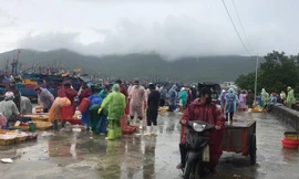 Cảng cá Thọ Quang, cảng cá lớn nhất miền Trung buổi sáng tấp nập người mua kẻ bán, với những mẻ hải sản từ những chuyến biển cuối cùng vào bờ trước khi bão đến - ảnh Thái Lâm 