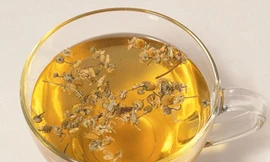 Trà cúc La Mã chống ung thư