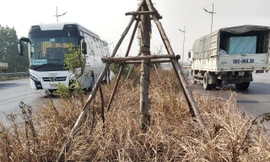 Cỏ và cây xanh trên quốc lộ 18 bị thiêu rụi