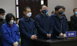 Vợ chồng Hoa Hữu Long và các đồng phạm tại tòa.