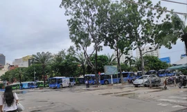 Xe buýt gặp khó, xin trợ giá hơn 141 tỷ đồng