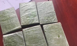 Bắt giữ 2 đối tượng vận chuyển 6 bánh heroin từ Điện Biên về Hải Phòng