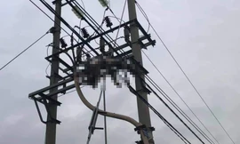 Người đàn ông trung niên tử vong trên cột điện cao thế ở Hải Phòng