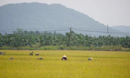 Một chủ tịch xã ở Hải Phòng tử vong tại nhà riêng