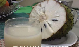 “Mãng cầu xiêm chữa ung thư?”: Chưa có báo cáo thuyết phục