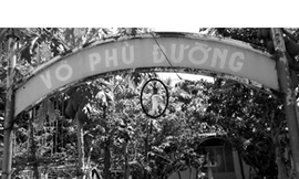 Xứ dừa 'đồng khởi' tiết kiệm điện