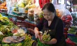 Người bán rau đoạt giải “Nobel châu Á”