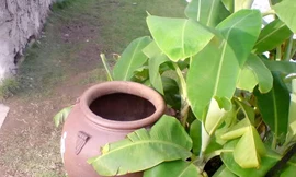 Mẹ bỏ con ba tháng tuổi vào lu nước rồi tự tử