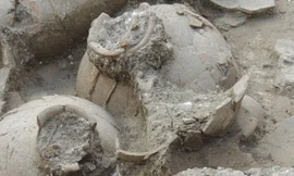 Phát hiện hầm rượu vang gần 4.000 năm