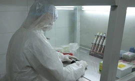 34 ngày Việt Nam không có ca mắc mới COVID-19 trong cộng đồng