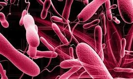 Ảnh minh họa: Internet